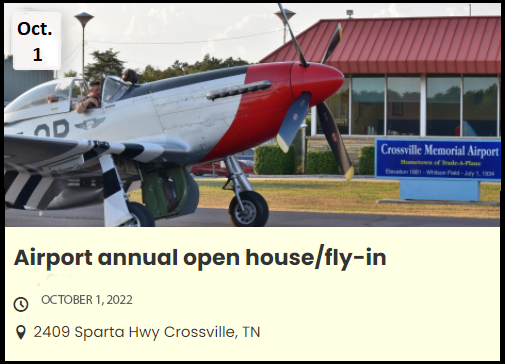 fly in graphic